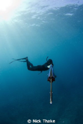 Freediver lines up his next shot... by Nick Thake 